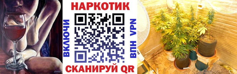 Где найти наркотики Новоаннинский Гашиш  АМФЕТАМИН  Альфа ПВП  Канабис  Мефедрон  КОКАИН 