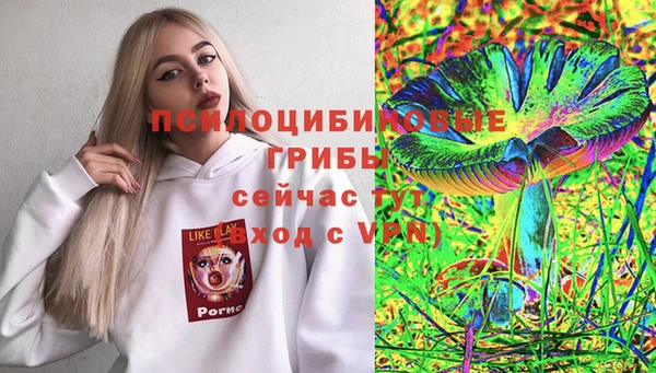 spice Аркадак