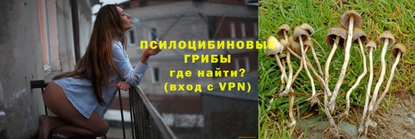 apvp Балабаново