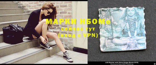 крисы Армянск