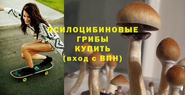 apvp Балабаново